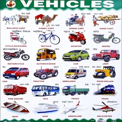 ESHA VEHICLES WALL CHART